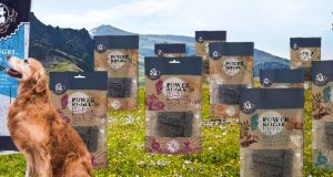 Dinner For Dogs: Powerriegel gewinnen