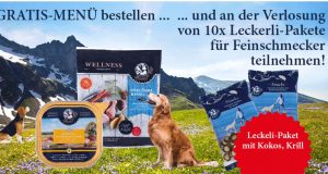 Leckerli-Überraschungspakete von Dinner for Dogs gewinnen